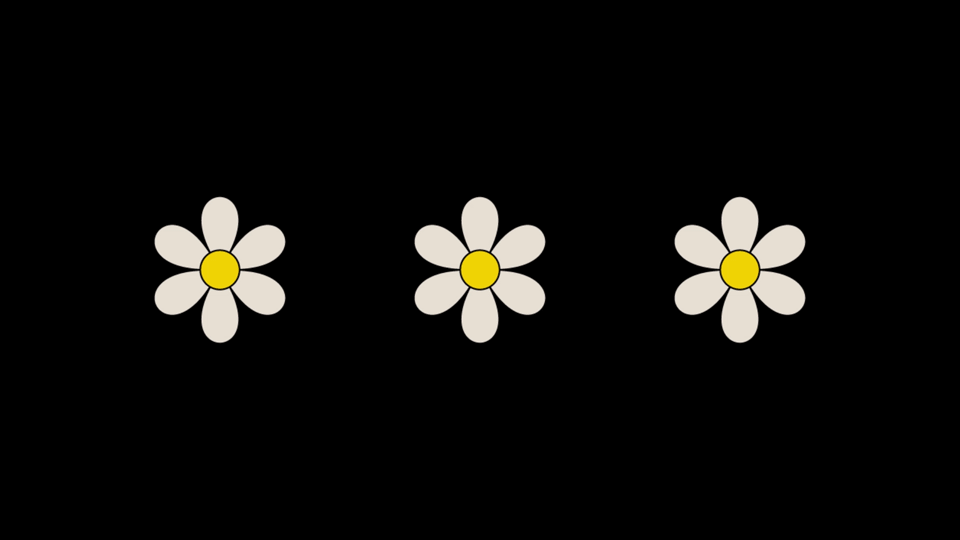 cvijetici-roberta-cindric-dizajn